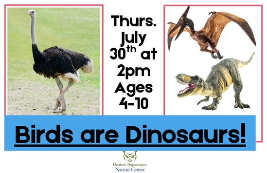 Birds are Dinosaurs!