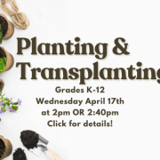 Planting & Transplanting!