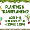 Planting & Transplanting!