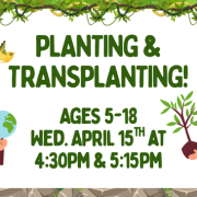 Planting & Transplanting!