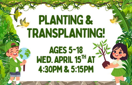 Planting & Transplanting!