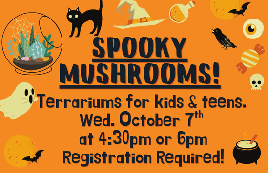 Spooky Mushrooms! Terrariums for Kids & Teens