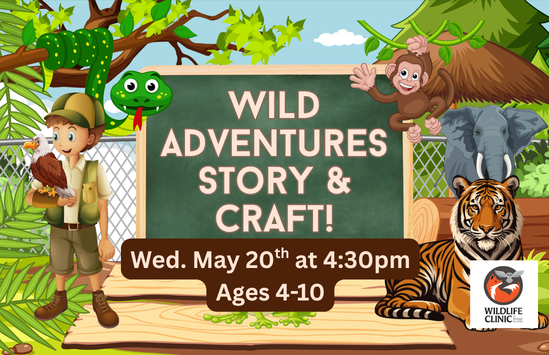Wild Adventures Story & Craft!