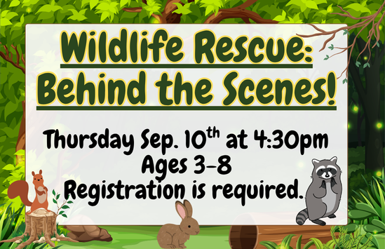 Wildlife Rescue: Behind the Scenes at the Wildlife Clinic of Rhode Island!